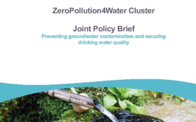 The Blueprint for Zero Pollution: ZeroPollution4Water Cluster’s First Policy Brief