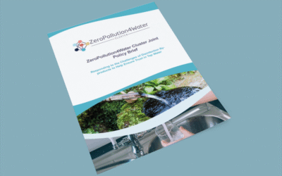 Responding to the challenges of DBP to support trust in tap water: Second Policy Brief of the ZP4W Cluster